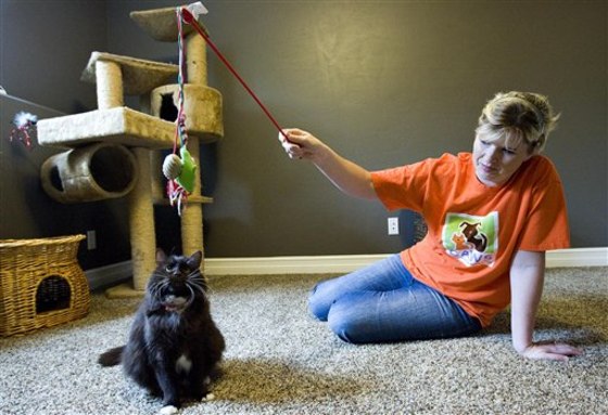 Janita Coombs plays with her cat, Andrea, at her Syracuse, Utah home, on Sunday, Oct. 16. The Utah city may put an end to its gas chamber after Andrea survived a shelter’s two attempts to euthanize her. Animal shelter volunteers are expected to appear at a West Valley City Council meeting Tuesday evening to make the case for using lethal injections instead. Andrea had not been adopted for 30 days when shelter officials tried to put her to death in October. She survived, so they gassed her again. Shelter officials presumed she was dead when they put her in a plastic bag in a cooler. She was later found alive. 